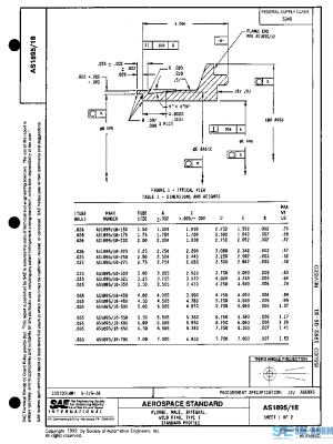 SAE AS1895/18 PDF