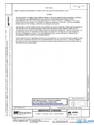 SAE AS8991 PDF