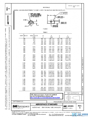 SAE AS3269A PDF