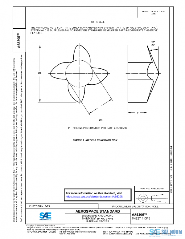SAE AS6305 PDF