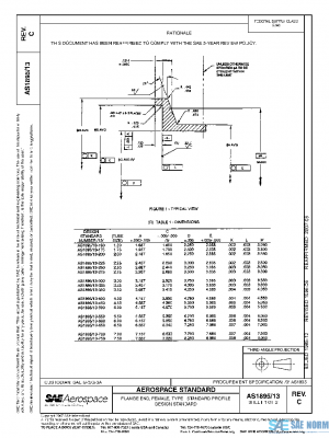 SAE AS1895/13C PDF