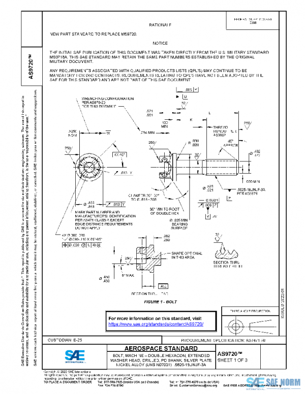 SAE AS9720 PDF