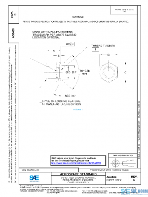 SAE AS3483B PDF