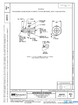 SAE AS4319B PDF