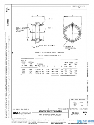 SAE AS4663A PDF
