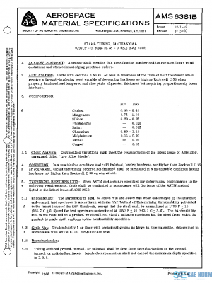 SAE AMS6381B PDF