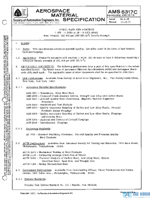 SAE AMS6317C PDF