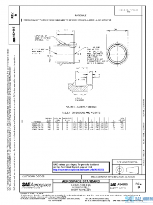 SAE AS4695B PDF