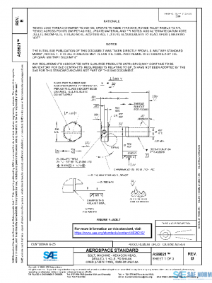 SAE AS9821B PDF