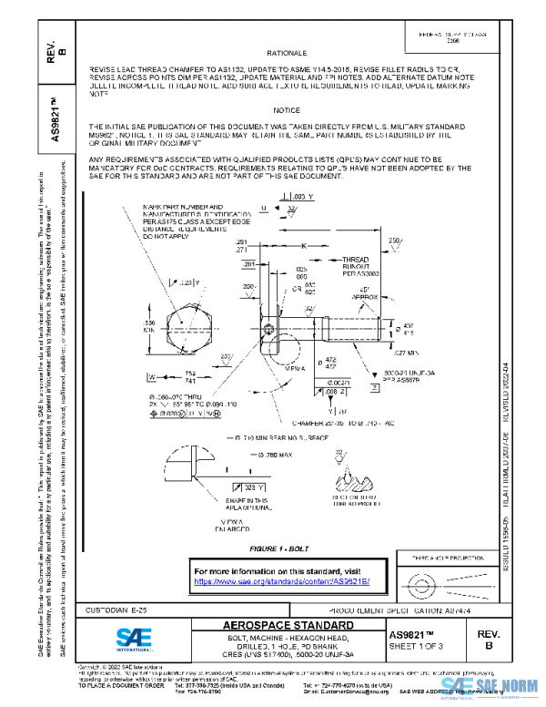 SAE AS9821B PDF