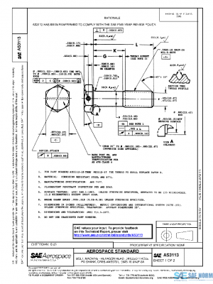 SAE AS3113 PDF