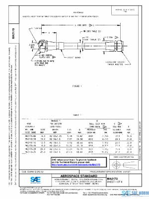 SAE MA2170 PDF