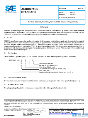 SAE AS22759C PDF