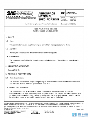 SAE AMS3813/3A PDF