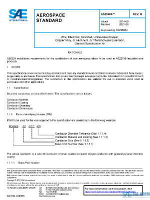SAE AS29606B PDF