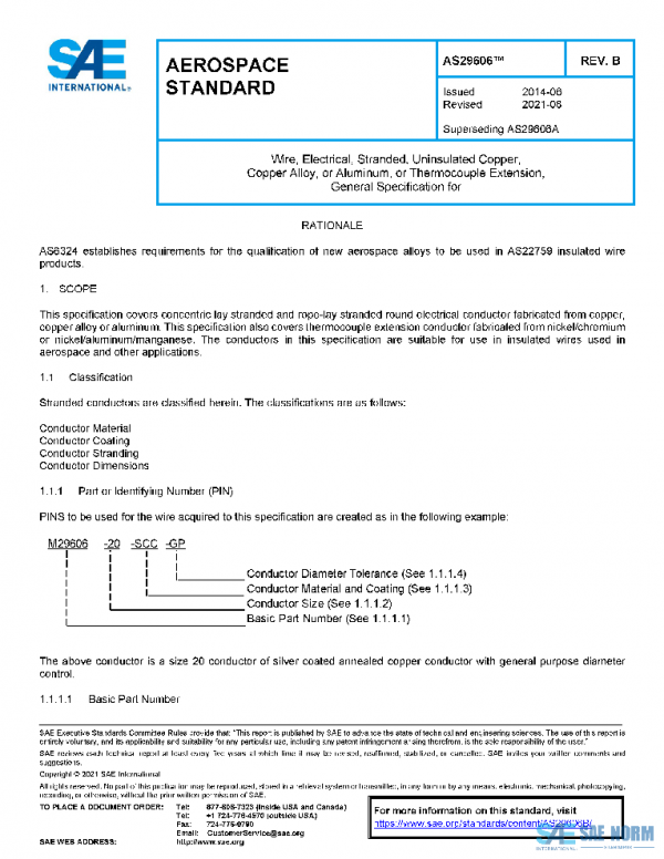 SAE AS29606B PDF