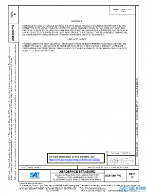 SAE AS81306/2B PDF