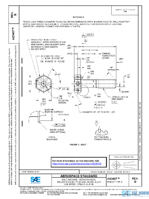 SAE AS3407B PDF