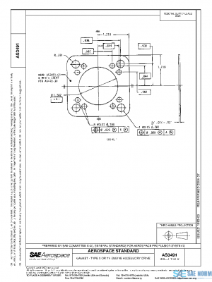 SAE AS3491 PDF