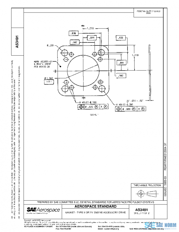 SAE AS3491 PDF