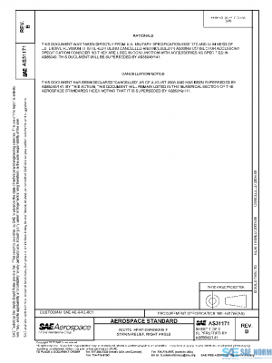 SAE AS31171B PDF