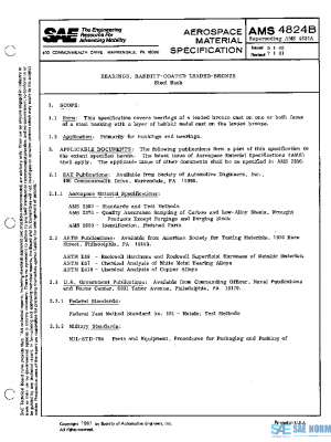 SAE AMS4824B PDF