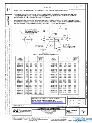 SAE AS9843A PDF