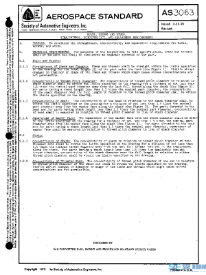 SAE AS3063 PDF