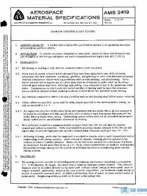 SAE AMS2419 PDF