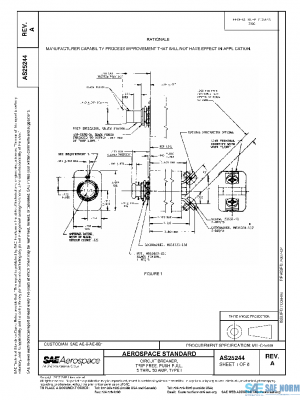SAE AS25244A PDF