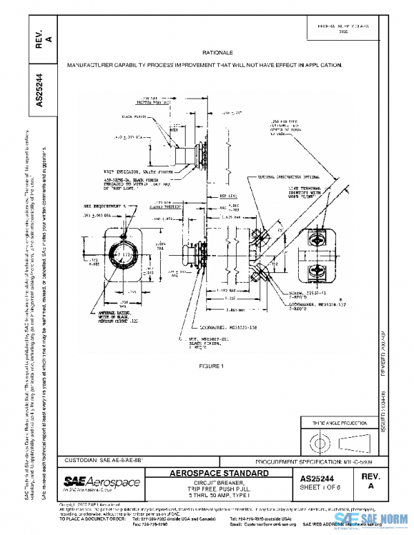 SAE AS25244A PDF