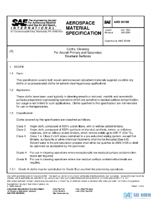 SAE AMS3819B PDF