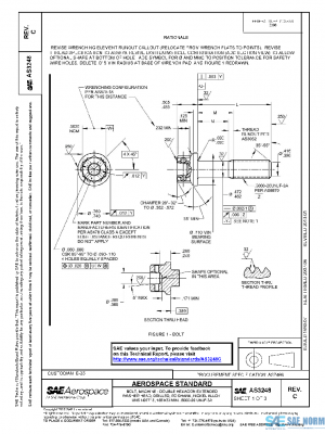 SAE AS3248C PDF