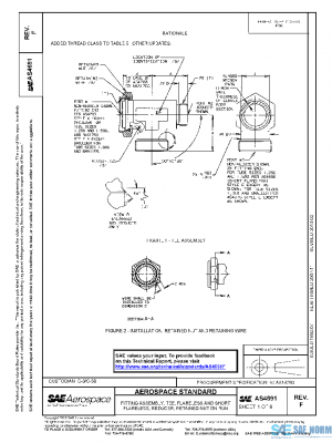 SAE AS4691F PDF