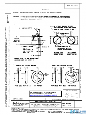 SAE AS919 PDF