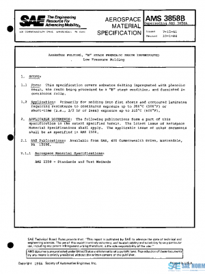SAE AMS3858B PDF