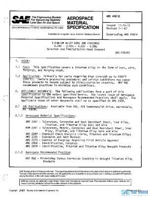 SAE AMS4981B PDF