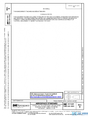 SAE AS115601B PDF