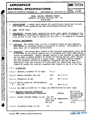 SAE AMS7272B PDF