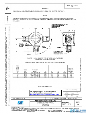 SAE AS21945A PDF