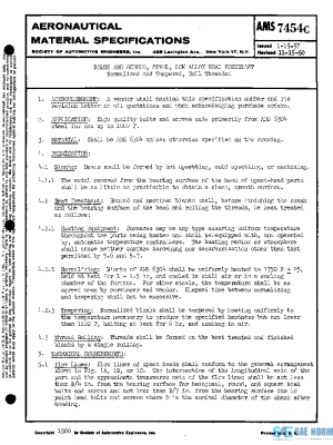 SAE AMS7454C PDF