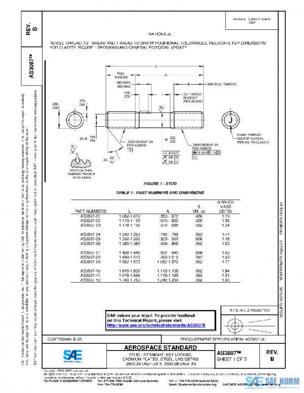 SAE AS3087B PDF