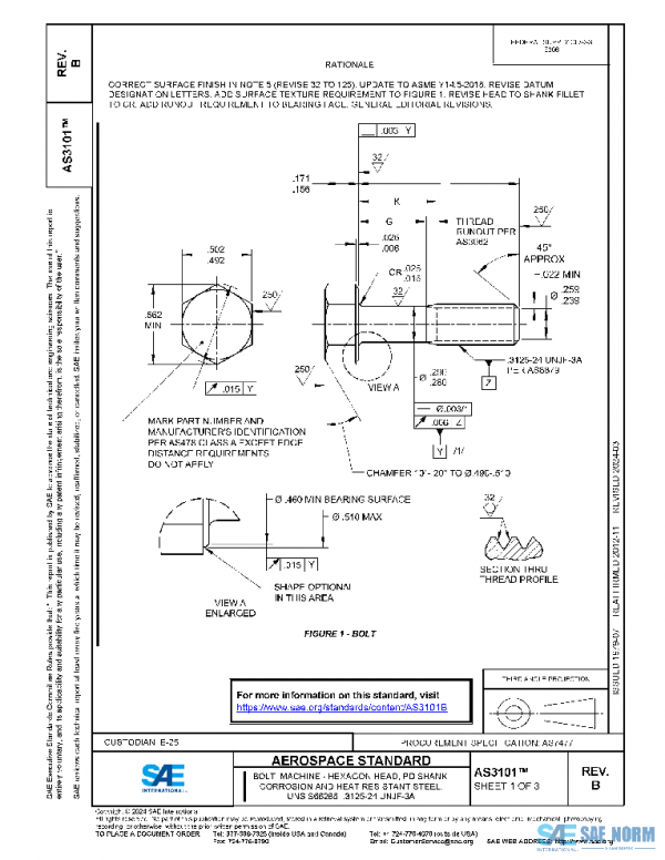 SAE AS3101B PDF