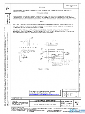 SAE AS117001B PDF