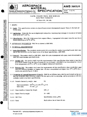 SAE AMS3903/6 PDF