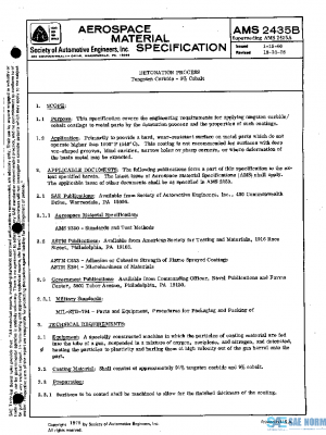 SAE AMS2435B PDF
