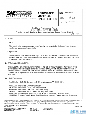SAE AMS6491B PDF