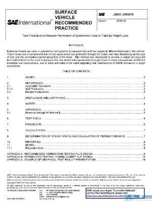 SAE J2663_201006 PDF