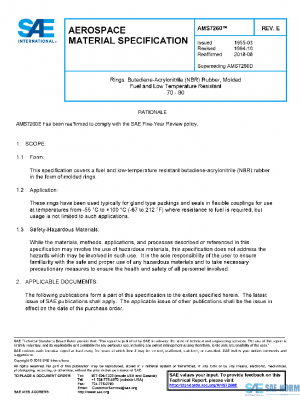 SAE AMS7260E PDF