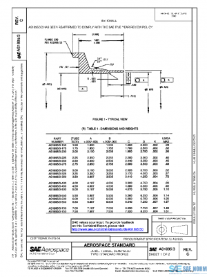 SAE AS1895/3C PDF
